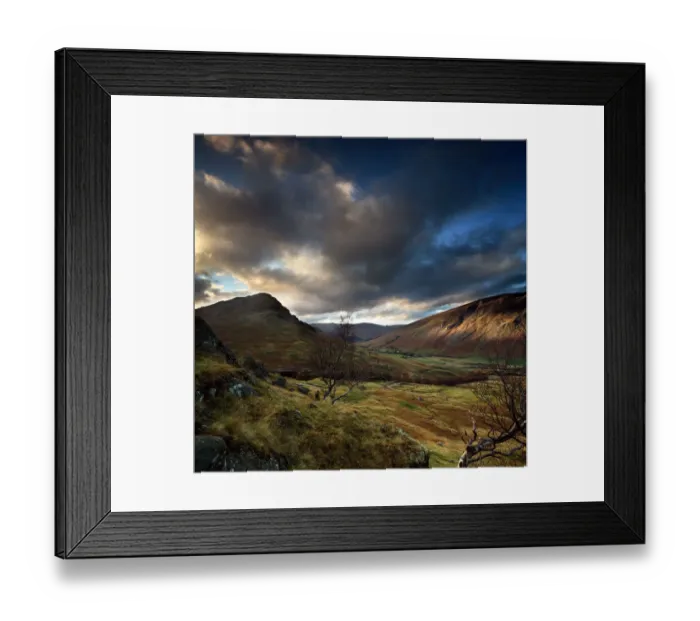 Framed Print : Highland glen birch tree autumn colour Framed Print : Highland glen birch tree autumn colour