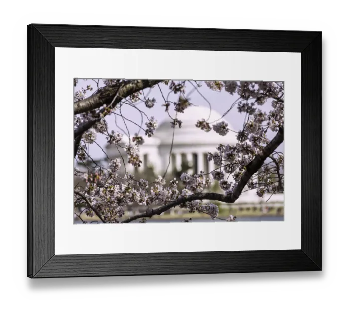 Framed Print : Thomas Jefferson Was Framed Framed Print : Thomas Jefferson Was Framed