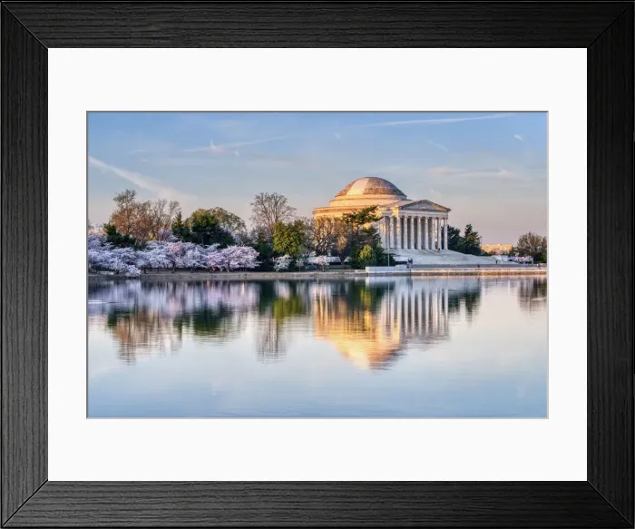 Framed Print : Jefferson Memorial and Cherry Blossoms Framed Print : Jefferson Memorial and Cherry Blossoms