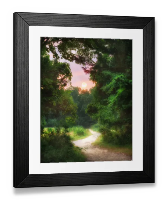 Framed Print : Sunrise at the End of the Path at Elizabeth Morton Wildlife Preserve in Sag Harbor