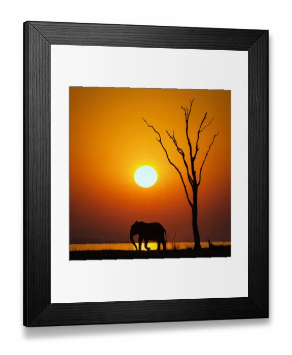 Framed Print : Vertical Silhouette of Sun, Dead Tree and African Elephant at Sunset on Lake Kariba