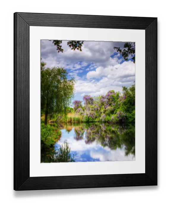 Framed Print : Wisteria, Reflections and Colors in Babylon, Long Island Framed Print : Wisteria, Reflections and Colors in Babylon, Long Island