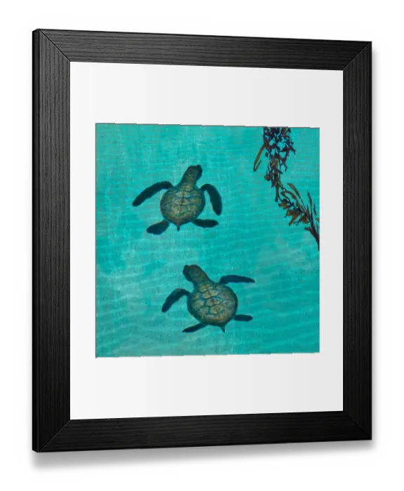 Framed Print : Baby Sea Turtles Framed Print : Baby Sea Turtles