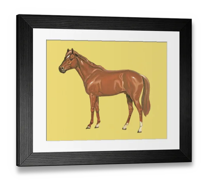Framed Print : Horse Framed Print : Horse