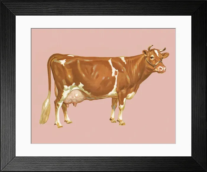 Framed Print : Cow Framed Print : Cow