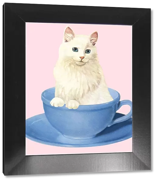 White Cat in a Coffee Cup