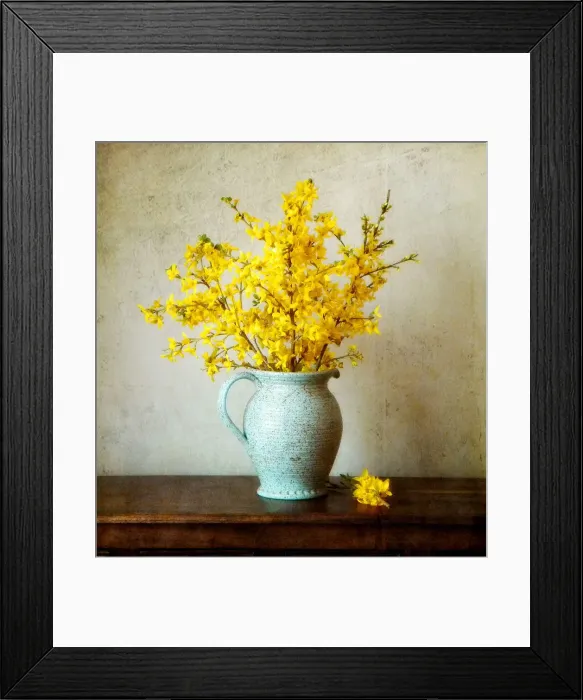 Framed Print : Spring in Jug Framed Print : Spring in Jug