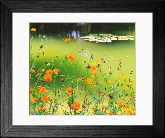 Framed Print : Green Pond Framed Print : Green Pond