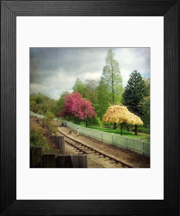 Framed Print : Miniature Railway - Lakeland Station Framed Print : Miniature Railway - Lakeland Station