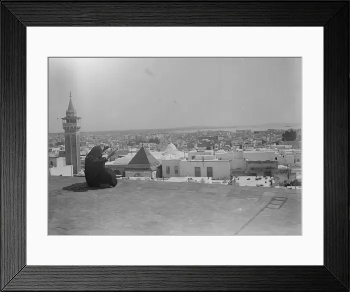 Framed Print : View Of Tunis