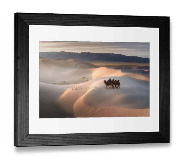Framed Print : Camel riding on Gobi Desert, Mongolia Framed Print : Camel riding on Gobi Desert, Mongolia