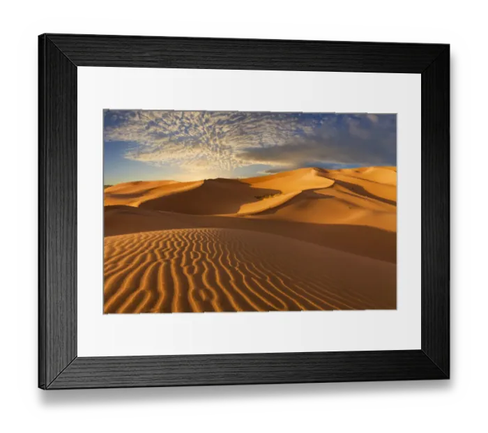 Framed Print : Sand dunes in the desert at sunset Framed Print : Sand dunes in the desert at sunset