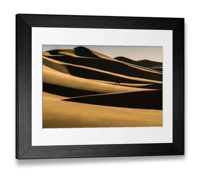 Framed Print : Gobi desert in Mongolia Framed Print : Gobi desert in Mongolia