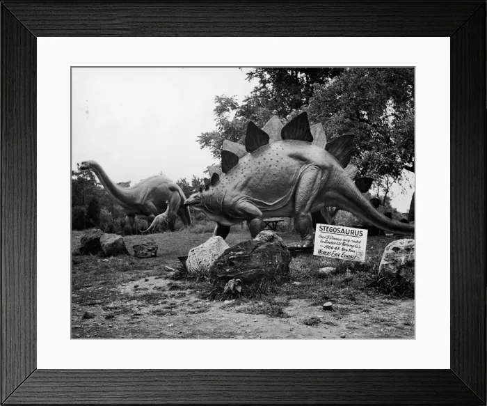 Framed Print : Stegosaurus replica Framed Print : Stegosaurus replica