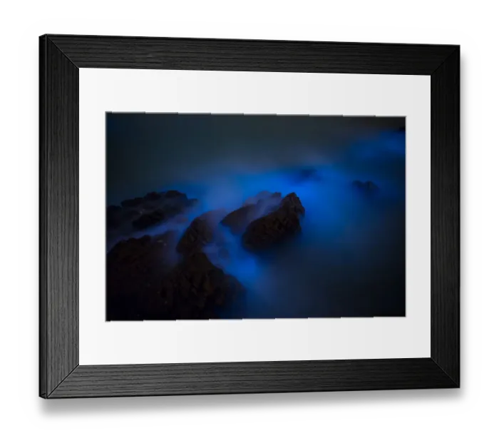 Framed Print : Bioluminescent algae Noctiluca Scintillans Framed Print : Bioluminescent algae Noctiluca Scintillans