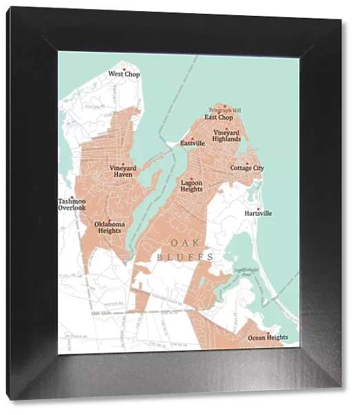 MA Dukes Oak Bluffs Vector Road Map
