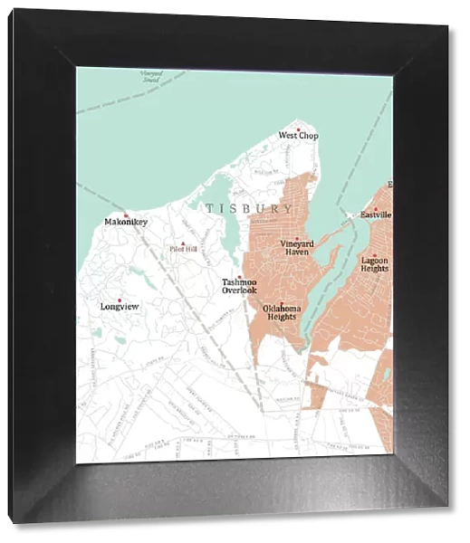 MA Dukes Tisbury Vector Road Map