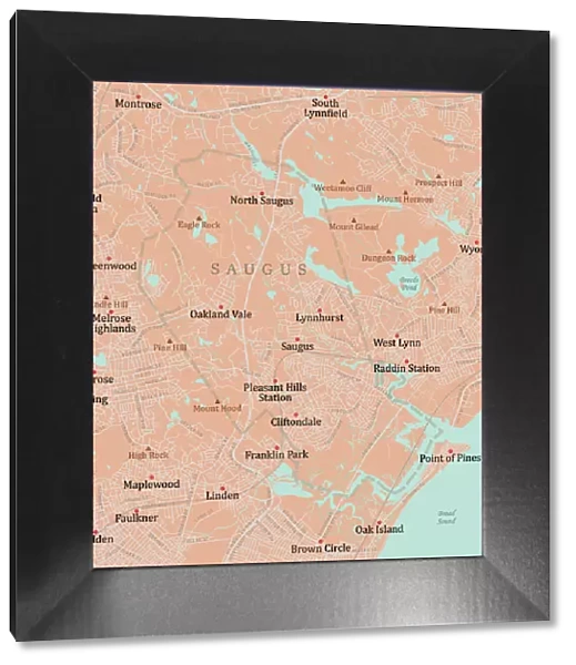 MA Essex Saugus Vector Road Map