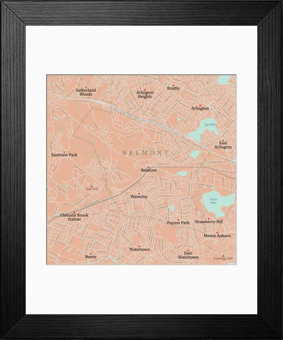 Framed Print : MA Middlesex Belmont Vector Road Map Framed Print : MA Middlesex Belmont Vector Road Map
