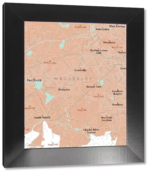 MA Norfolk Wellesley Vector Road Map