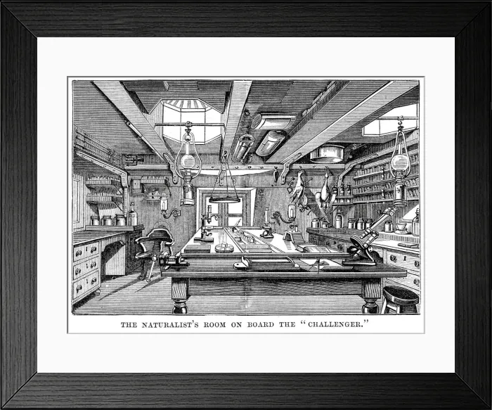 Framed Print : Naturalists Room on Board HMS Challenger Framed Print : Naturalists Room on Board HMS Challenger