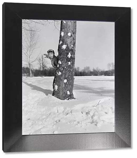 Boy hiding behind tree trunk about to throw snow ball, tree trunk scarred with snow ball