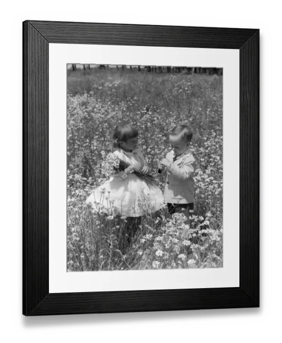 Framed Print : Toddlers In Field Of Daisies. They Wear Fancy Clothes Dress And Suit Framed Print : Toddlers In Field Of Daisies. They Wear Fancy Clothes Dress And Suit