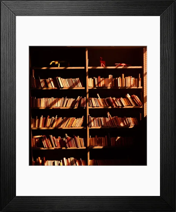 Framed Print : Sun Casting Shadow Shadows Shadowy Shel Framed Print : Sun Casting Shadow Shadows Shadowy Shel