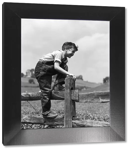 Boy in denim bib overalls, climbing over wooden split rail fence on farm. (Photo by H