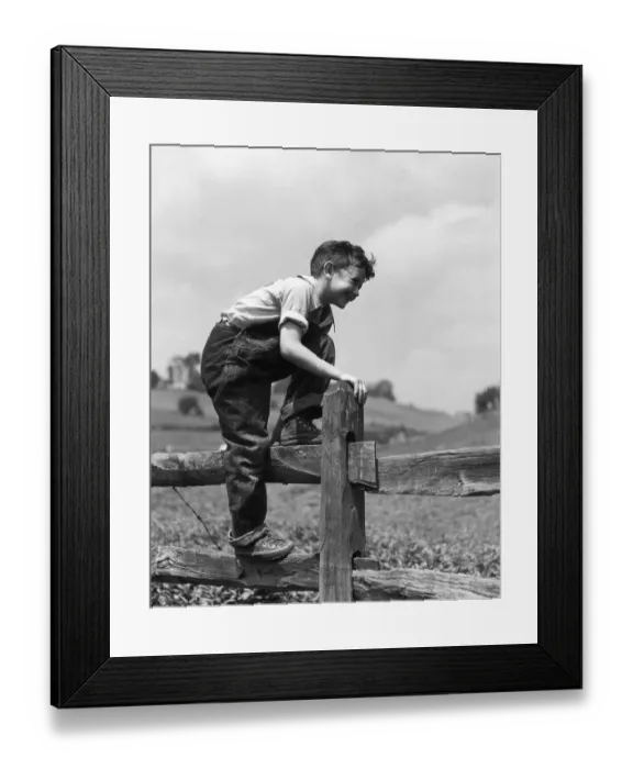 Framed Print : Boy in denim bib overalls, climbing over wooden split rail fence on farm. (Photo by H Framed Print : Boy in denim bib overalls, climbing over wooden split rail fence on farm. (Photo by H