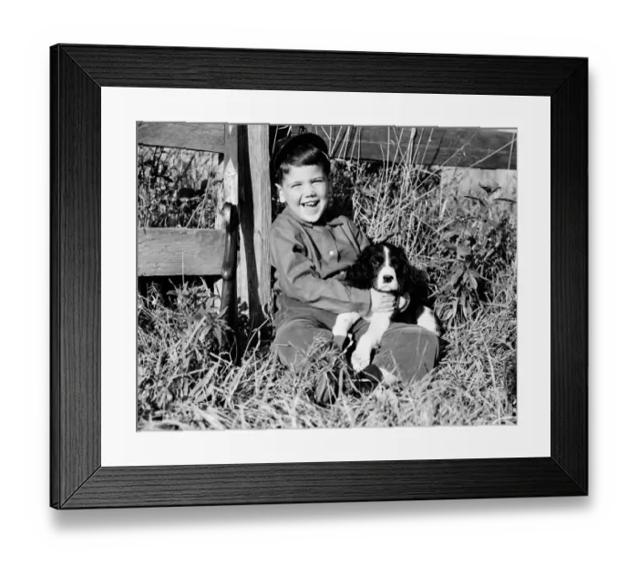 Framed Print : Boy sitting leaning against fence, holding spaniel puppy, smiling and laughing Framed Print : Boy sitting leaning against fence, holding spaniel puppy, smiling and laughing