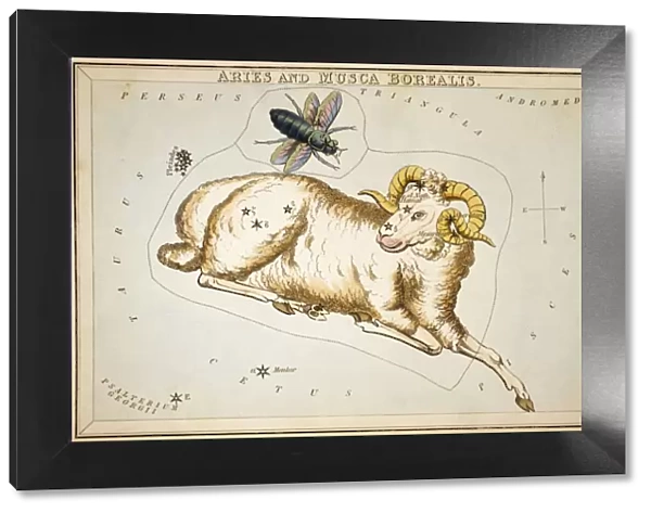 Aries, the First Sign of the Zodiac