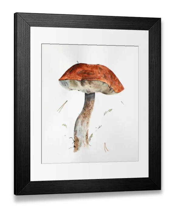 Framed Print : Hand drawn watercolor raw forest aspen mushroom are on white paper Framed Print : Hand drawn watercolor raw forest aspen mushroom are on white paper