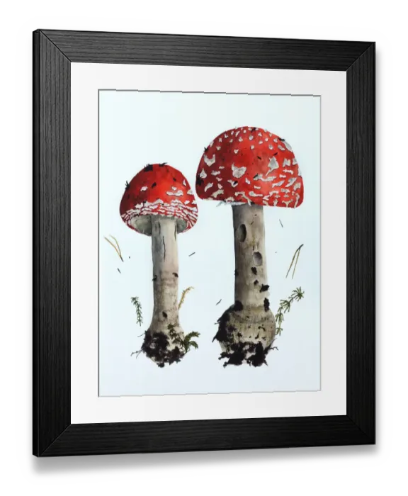 Framed Print : Mushrooms, redcap fly agaric, painted in watercolor on white paper Framed Print : Mushrooms, redcap fly agaric, painted in watercolor on white paper