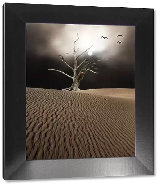 Dead tree stands on dune against moonlit sky