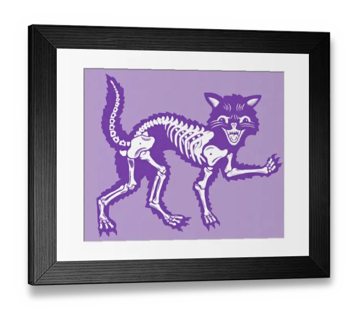 Framed Print : Cat Skeleton Framed Print : Cat Skeleton