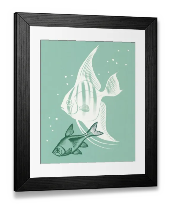 Framed Print : Two Tropical Fish Framed Print : Two Tropical Fish