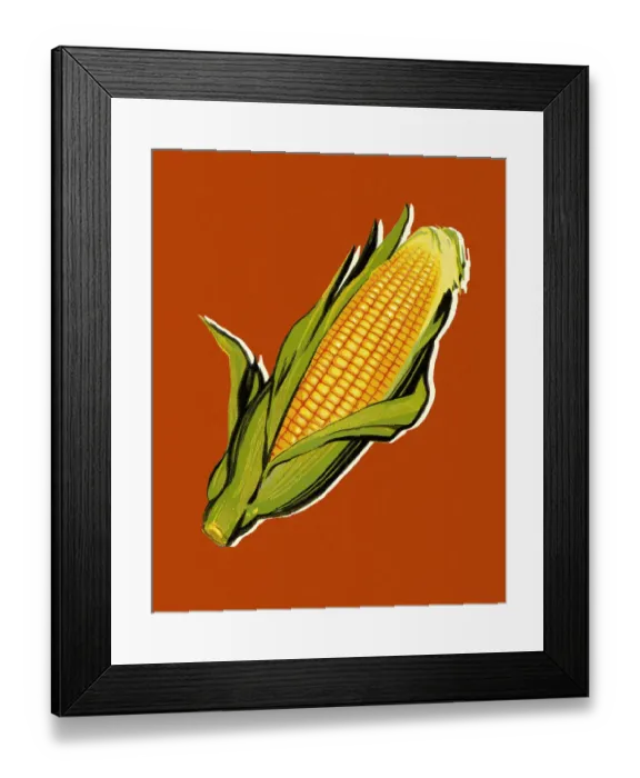 Framed Print : Ear of Corn Framed Print : Ear of Corn