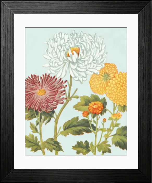 Framed Print : Flowers Framed Print : Flowers