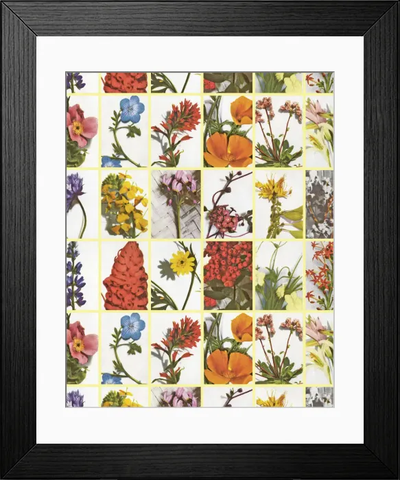 Framed Print : Flower Pattern Framed Print : Flower Pattern