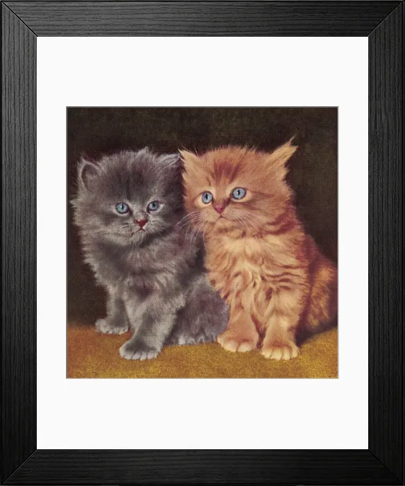Framed Print : Two Kittens Framed Print : Two Kittens
