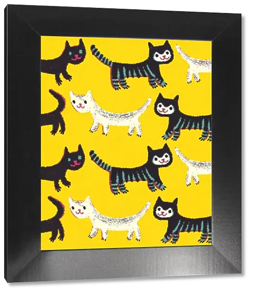 Pattern of Cats