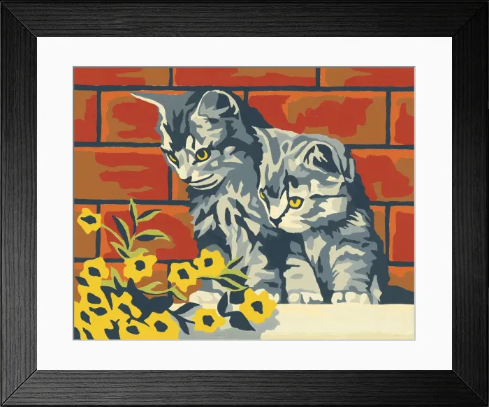 Framed Print : Two Kittens