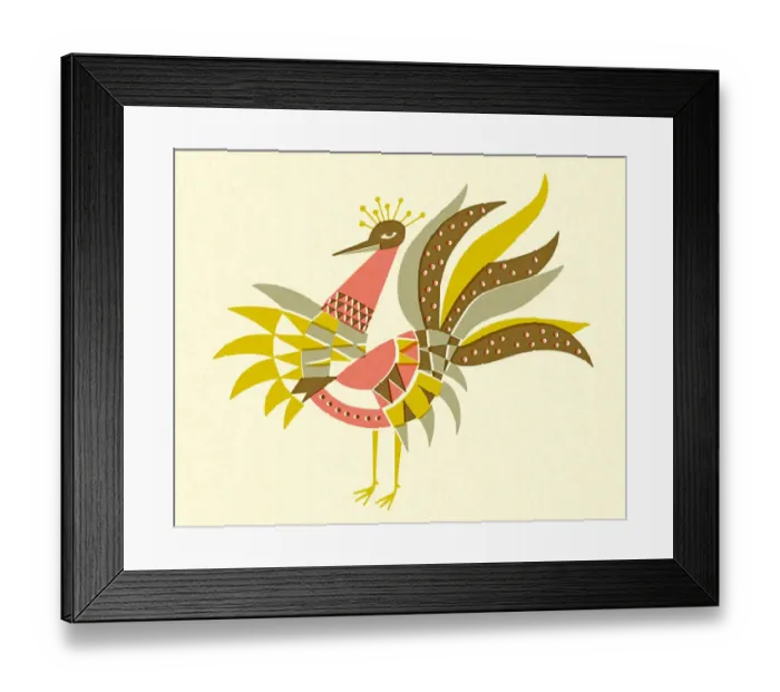 Framed Print : Feathered Bird Framed Print : Feathered Bird