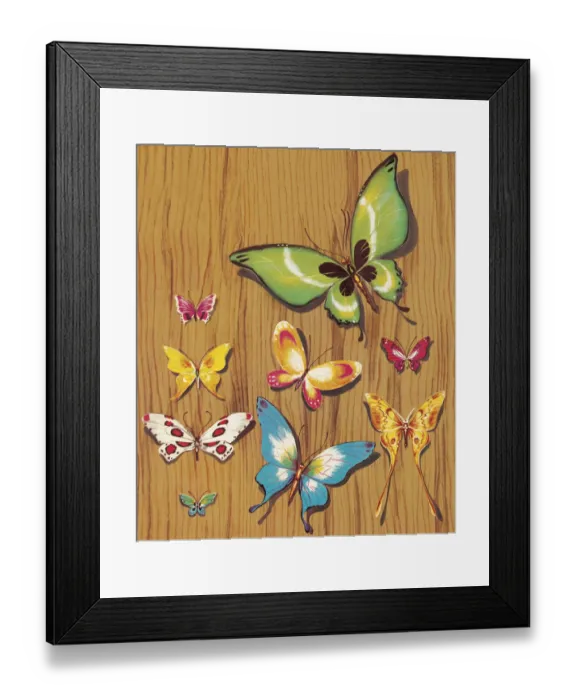 Framed Print : Butterflies Framed Print : Butterflies