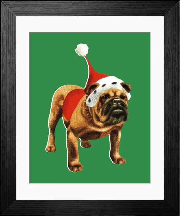 Framed Print : Christmas Bulldog Framed Print : Christmas Bulldog