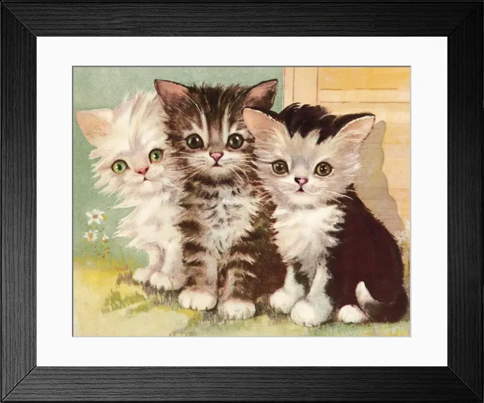 Framed Print : Three Kittens Framed Print : Three Kittens