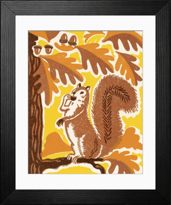 Framed Print : Squirrel in a Tree Framed Print : Squirrel in a Tree