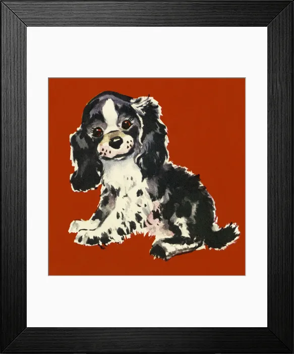 Framed Print : Puppy Framed Print : Puppy