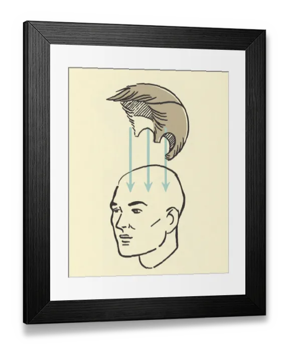 Framed Print : Wig on a Head
